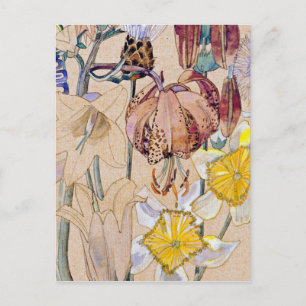 Postal Charles Rennie Mackintosh - Mont Louis - Flor