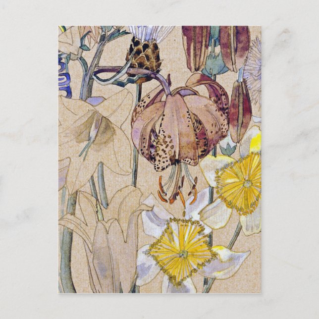 Postal Charles Rennie Mackintosh - Mont Louis - Flor (Anverso)