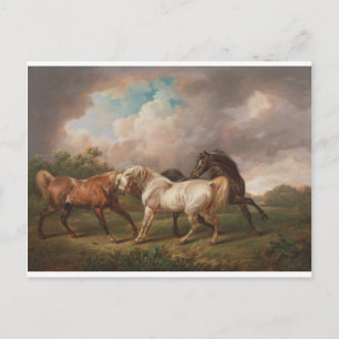 Postal Charles Towne Art Pintura Óleo Destino de Caballos