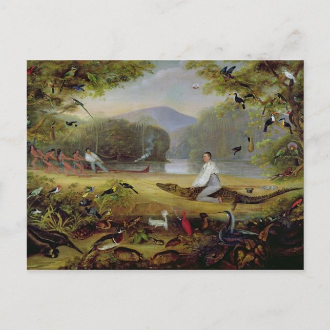 Postal Charles Waterton capturando a un caimán, 1825-26 (Anverso)