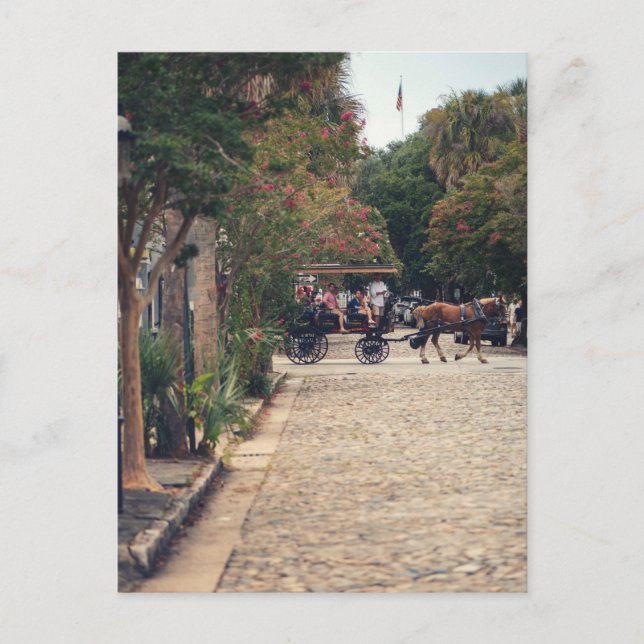 Postal Charleston Cobbles (Anverso)