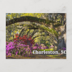 Postal Charleston, Jardín Botánico de la Primavera de Car