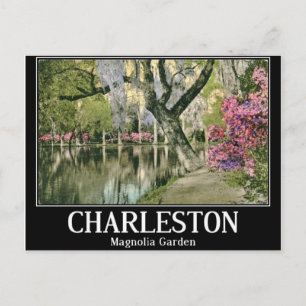 Postal Charleston, Jardines Magnolia, Vintage