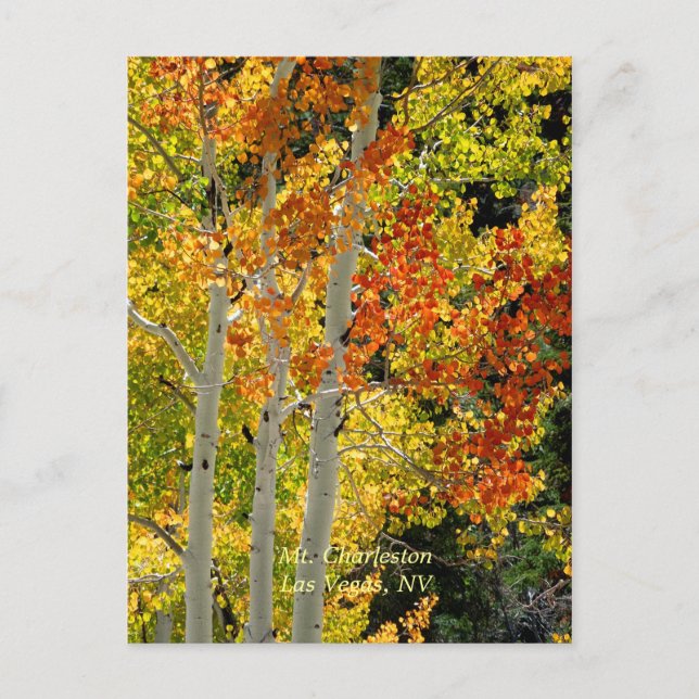 Postal Charleston, Las Vegas, NV Aspens Postcard (Anverso)