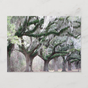 Postal Charleston Oaks