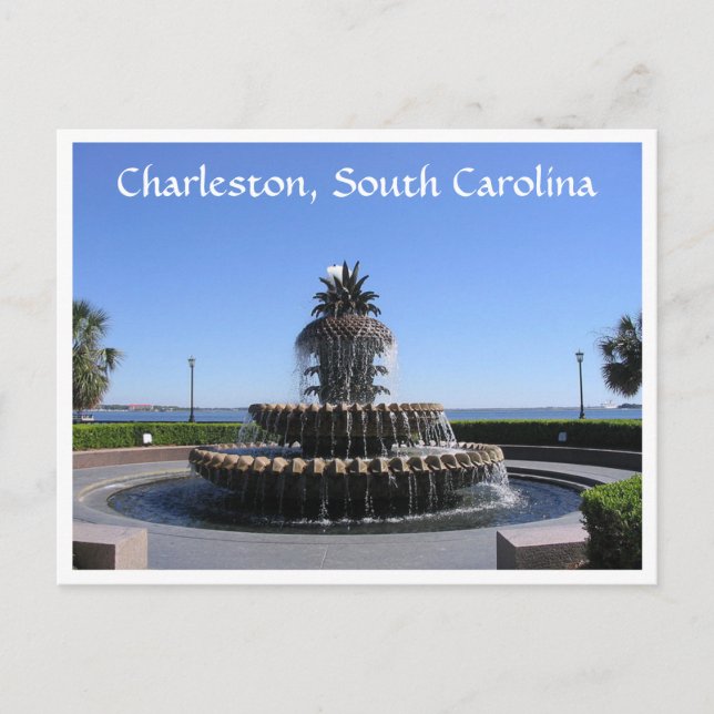 Postal Charleston SC Waterfront Park Fountain Post Card (Anverso)