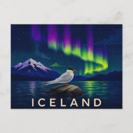 Postal Charrán Ártico bajo la Aurora | Islandia icónica