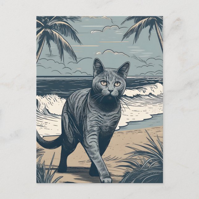 Postal Chartreux-Cat en una playa tropical al atardecer (Anverso)