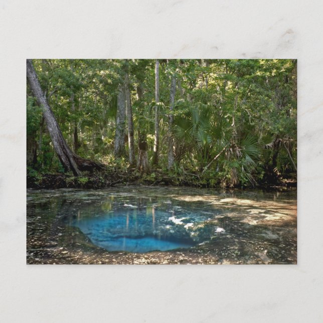 Postal Chassahowitzka Springs, Florida. (Anverso)