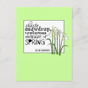 Postal Chaste Snowdrop