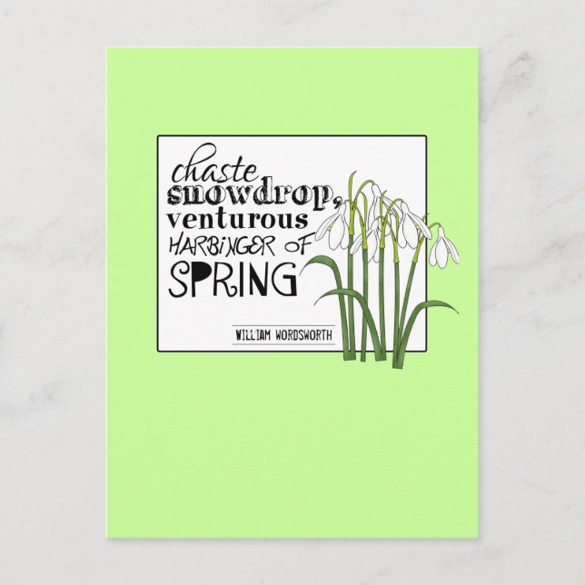 Postal Chaste Snowdrop (Anverso)