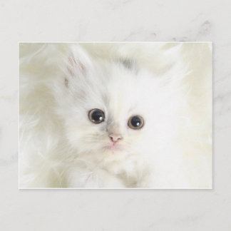 Postal Chat en blanco