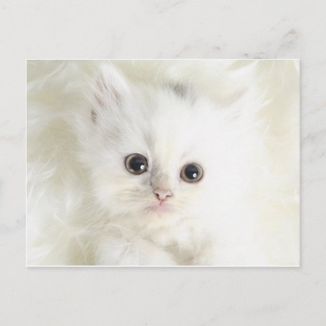 Postal Chat en blanco (Anverso)
