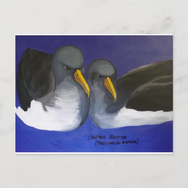 Postal Chatham Albatross (Thalassarche eremita) (Anverso)