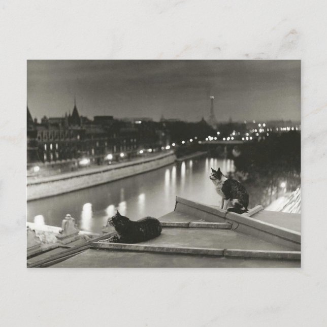 Postal Chats la nuit - París - 1954 - Robert Doisneau (Anverso)
