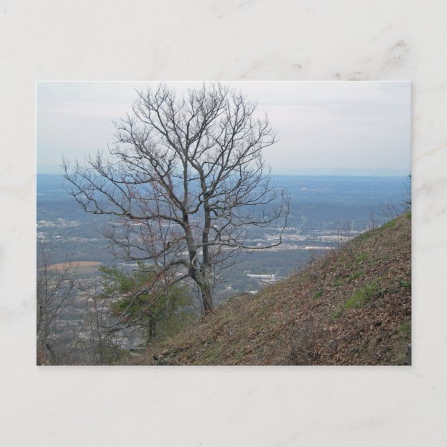 Postal Chattanooga, Tennessee 001 (Anverso)