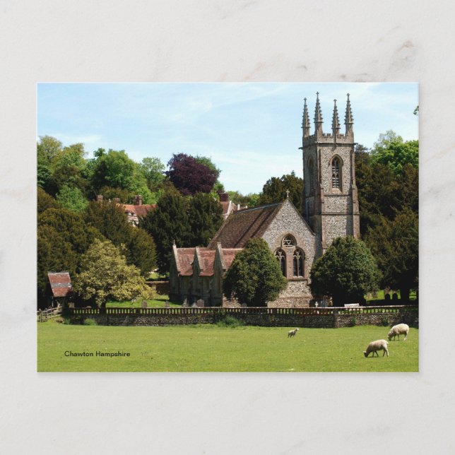 Postal Chawton Hampshire - Oveja al lado de la Iglesia (Anverso)