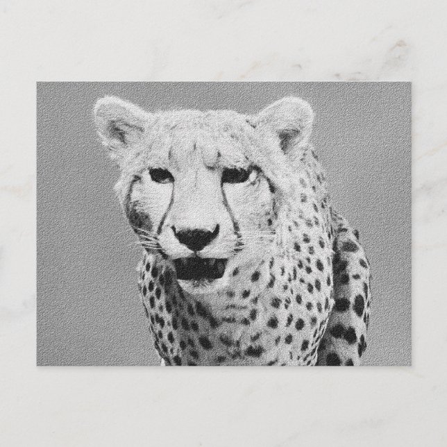 Postal Cheetah (Anverso)