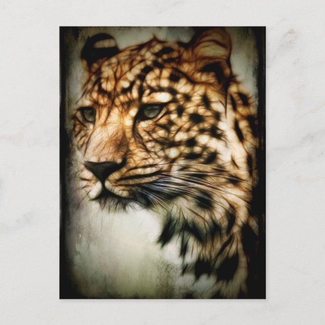 Postal Cheetah (Anverso)