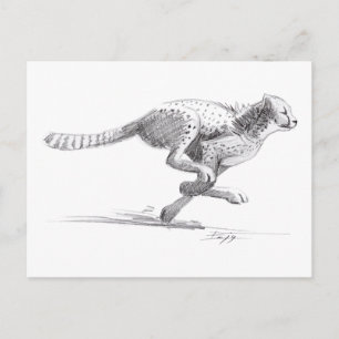 Postal Cheetah