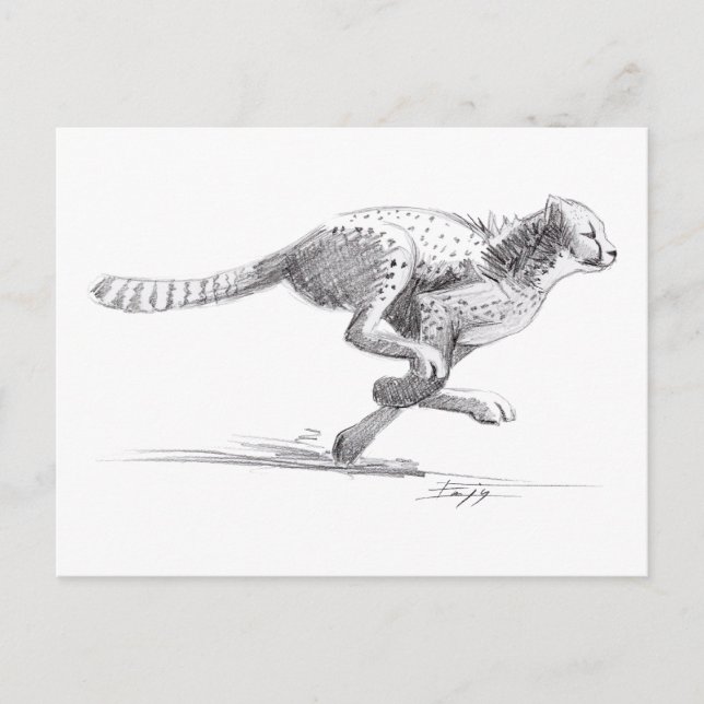 Postal Cheetah (Anverso)