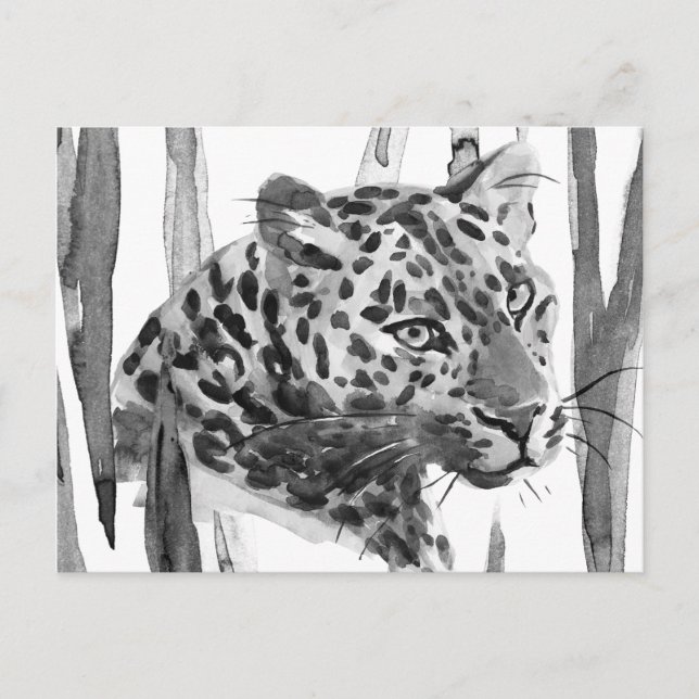 Postal Cheetah Portrait (Anverso)