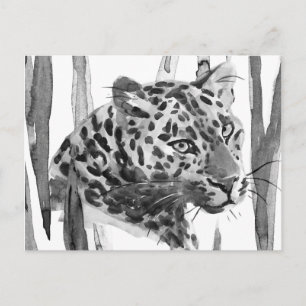 Postal Cheetah Portrait