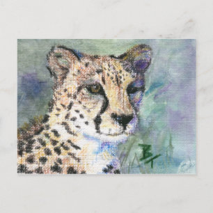 Postal Cheetah Portrait aceo Postcard
