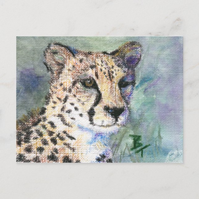 Postal Cheetah Portrait aceo Postcard (Anverso)