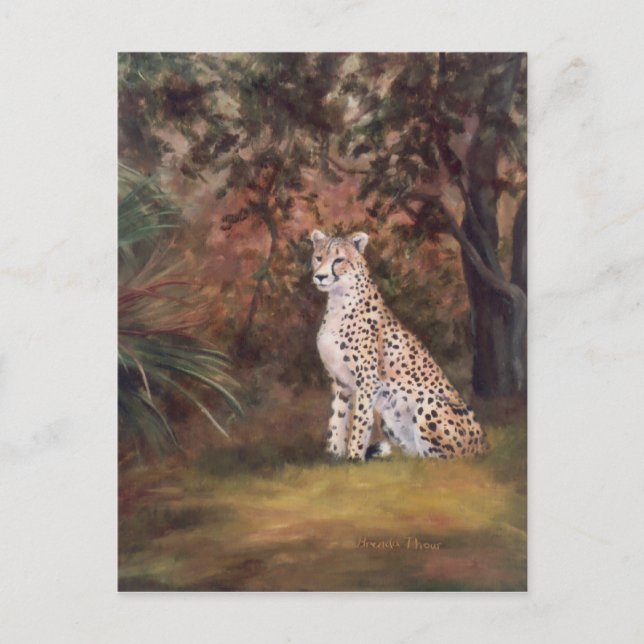 Postal Cheetah Sitting Orgullosa Postcard (Anverso)