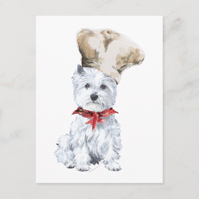 Postal Chef del West Highland White Terrier (Anverso)