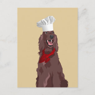 Postal Chef irlandés Red Setter Dog para los amantes del 