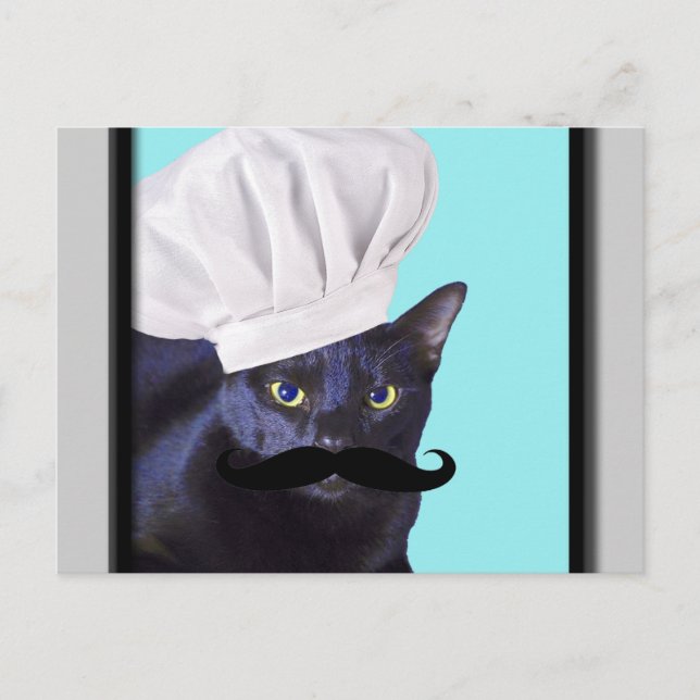 Postal Chef italiano, gato negro (Anverso)