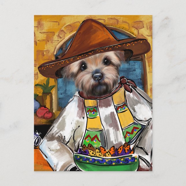 Postal Chef Yorkie (Anverso)