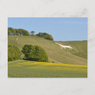 Postal Cherhill, Wiltshire, England Chalk Horse Postcard