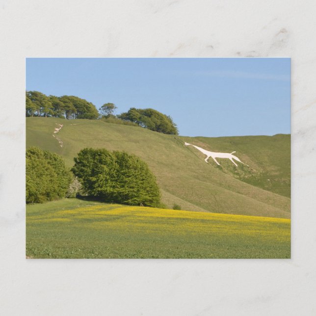 Postal Cherhill, Wiltshire, England Chalk Horse Postcard (Anverso)