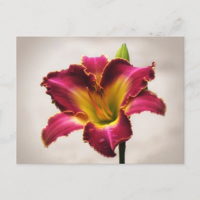 Postal Cherokee Heritage Daylily (Anverso)