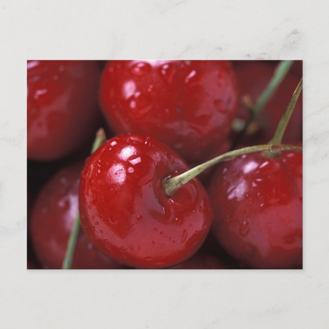 POSTAL CHERRIES (Anverso)
