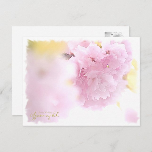 Postal Cherry Blossom "Azuma-nishiki" (Anverso / Reverso)