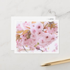 Postal Cherry Blossom "Azuma-nishiki" ポストカード