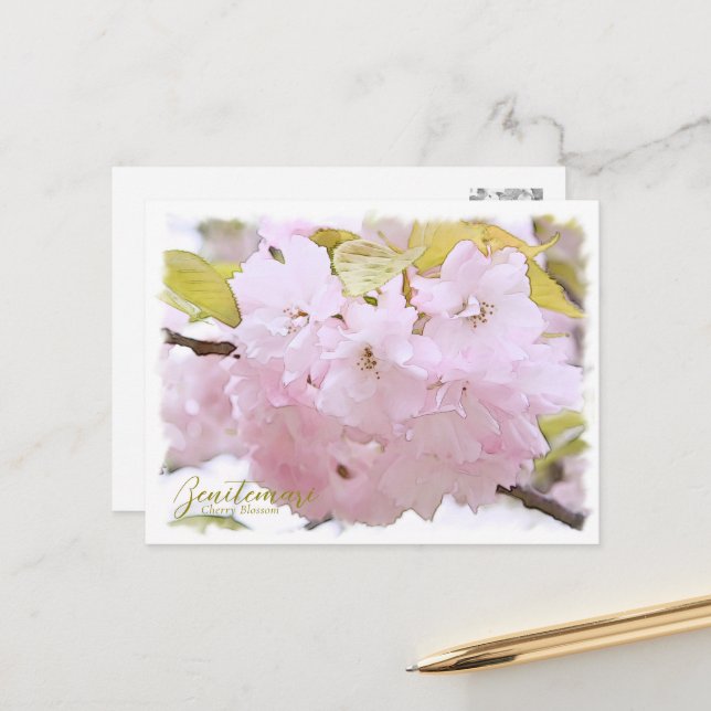 Postal Cherry Blossom "Benitemari" ポストカード (Anverso/Reverso In Situ)