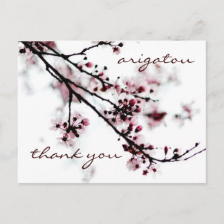 Postal Cherry Blossom Gracias