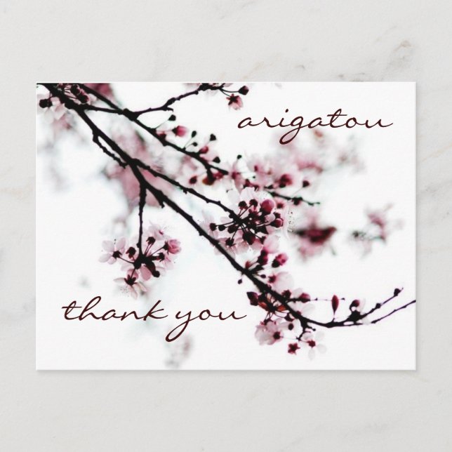 Postal Cherry Blossom Gracias (Anverso)