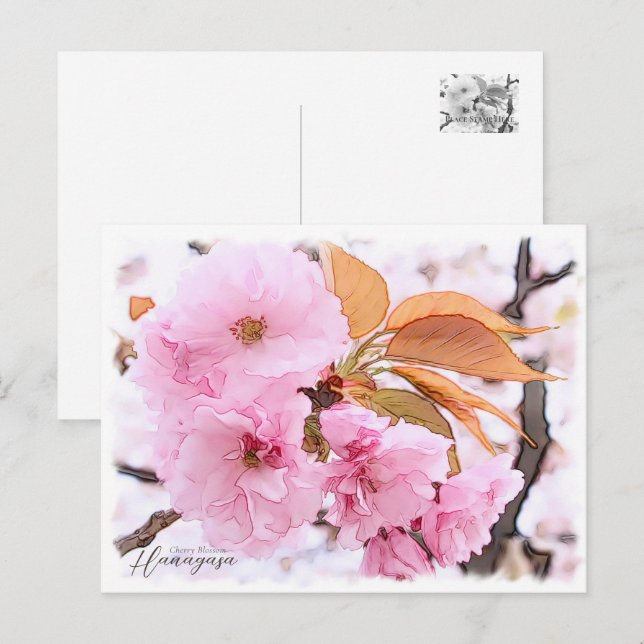 Postal Cherry Blossom "Hanagasa" (Anverso / Reverso)