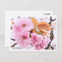 Postal Cherry Blossom "Hanagasa"