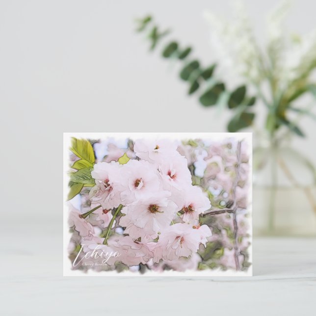 Postal Cherry Blossom "Ichiyo" (Anverso de pie)