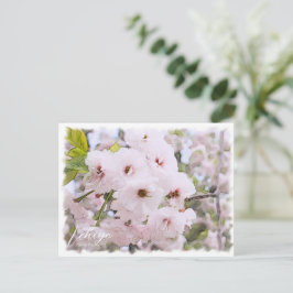 Postal Cherry Blossom "Ichiyo"