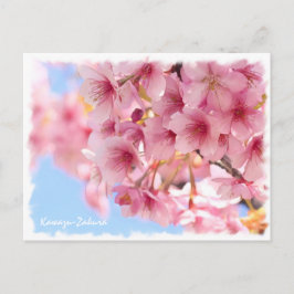 Postal Cherry blossom: Kawazu-Zakura