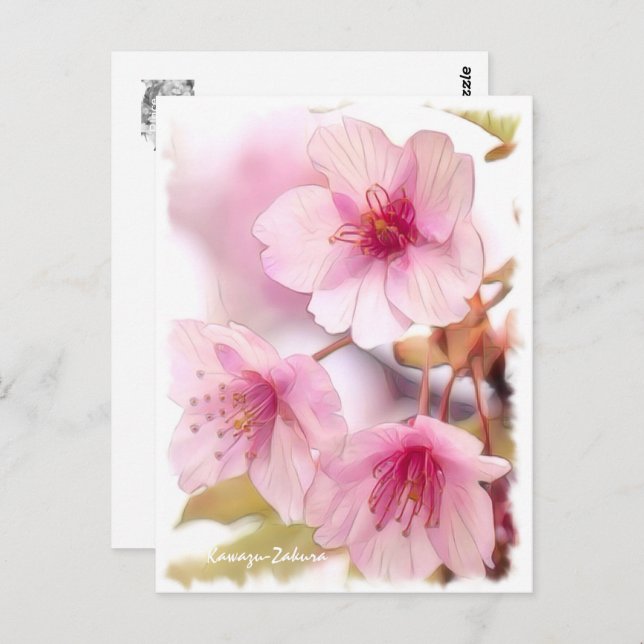Postal Cherry blossom: Kawazu-Zakura ポストカード (Anverso / Reverso)