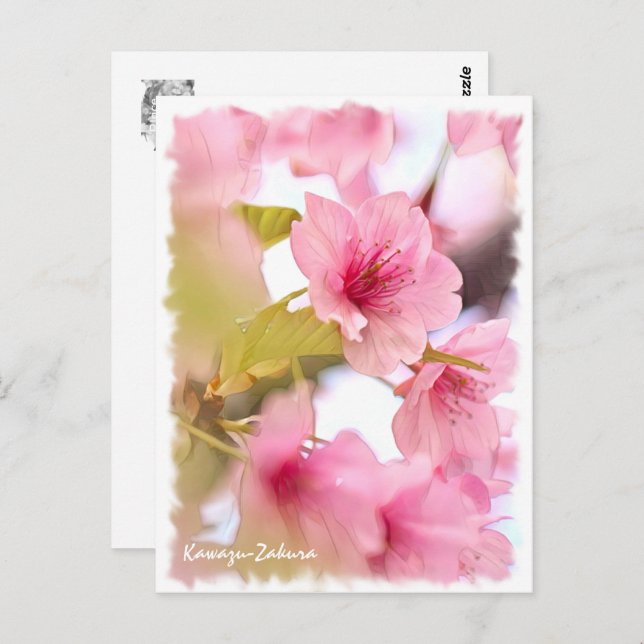 Postal Cherry blossom: Kawazu-Zakura ポストカード (Anverso / Reverso)